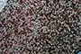 BB Fertilizer Production Line